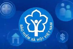 Thủ tục thành lập Hội đồng quản lý bảo hiểm xã hội
