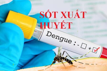 Thủ tướng Chính phủ chỉ đạo tăng cường phòng, chống bệnh sốt xuất huyết