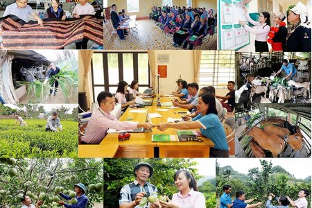 Nâng cao hiệu quả tín dụng chính sách xã hội