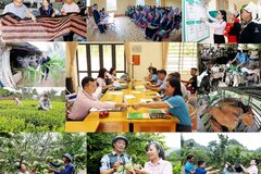 Nâng cao hiệu quả tín dụng chính sách xã hội