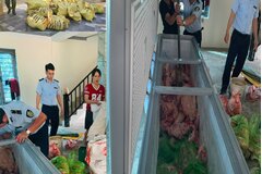 Tạm giữ hình sự 4 đối tượng gom heo mắc dịch tả heo châu Phi bán ra thị trường