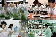 Tăng cường thực hiện các chính sách ưu đãi, hỗ trợ cho doanh nghiệp khoa học và công nghệ