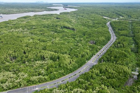 Bổ sung quy định về tạm sử dụng rừng để thi công các dự án cấp thiết