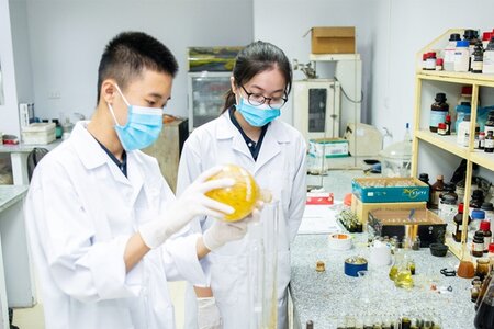 Đề xuất chính sách trọng dụng nhà khoa học trẻ tài năng, kỹ sư trẻ tài năng