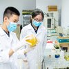 Đề xuất chính sách trọng dụng nhà khoa học trẻ tài năng, kỹ sư trẻ tài năng