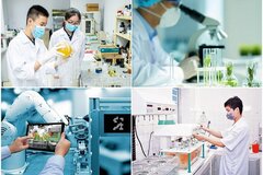 Ban hành khung hướng dẫn phát triển KHCN, đổi mới sáng tạo, chuyển đổi số
