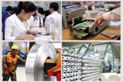 Tổng điều tra kinh tế trên phạm vi toàn quốc từ 5/1/2026