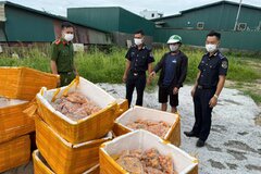 Bắt đối tượng tập kết 700kg trứng gà non đông lạnh không rõ nguồn gốc