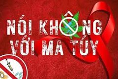 Tiêu chí xác định tuyến, địa bàn trọng điểm phức tạp về ma túy