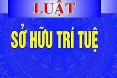 Đề xuất 5 nhóm chính sách sửa đổi, bổ sung một số điều của Luật Sở hữu trí tuệ