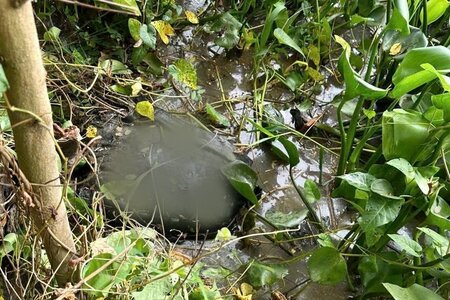 Khởi tố người đàn ông sát hại 'vợ hờ' rồi phi tang thi thể
