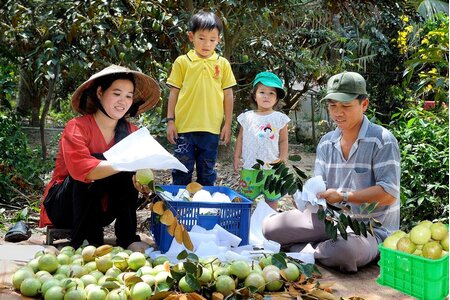Bộ Tài chính đề xuất tăng mức giảm trừ gia cảnh
