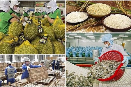 Tăng cường truy xuất nguồn gốc, đảm bảo chất lượng sản phẩm nông, lâm, thủy sản xuất khẩu