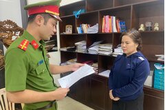 Khởi tố nữ giám đốc chợ đầu mối ở Thanh Hóa trốn thuế hơn 11 tỷ đồng