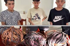 Bắt nhóm đối tượng trộm cắp tài sản ở Thanh Hoá