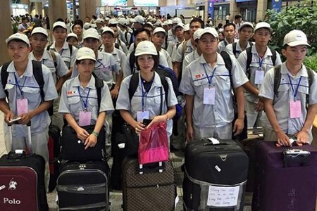 Quy định mới nhất về hỗ trợ người lao động Việt Nam làm việc ở nước ngoài