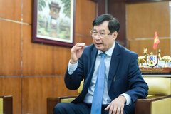 Hội Luật gia Việt Nam sẵn sàng đồng hành cùng người dân, doanh nghiệp chống tin giả
