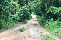 Điều tra vụ con trai dùng dao sát hại mẹ ruột, chém chị gái trọng thương