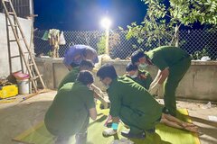 Thông tin mới vụ anh họ sát hại em gái 8 tuổi ở Thanh Hóa