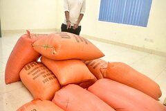 Bắt tạm giam đối tượng trộm hơn 400kg lúa ở Hà Tĩnh