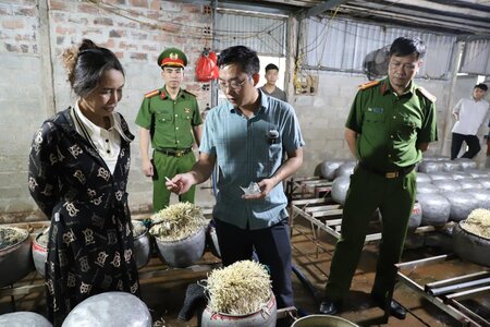 Phát hiện cơ sở dùng chất cấm sản xuất giá đỗ số lượng lớn ở Hà Tĩnh
