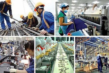 Chính phủ ban hành Kế hoạch triển khai thi hành Luật sửa đổi, bổ sung Luật Tiêu chuẩn và quy chuẩn kỹ thuật