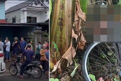 Chồng sát hại vợ và con riêng của vợ rồi nhảy sông tự tử