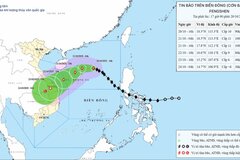 Thủ tướng yêu cầu chủ động ứng phó bão số 12 và mưa lũ
