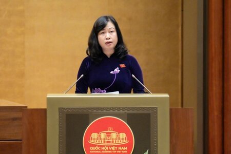 Nghiên cứu quy định hỗ trợ tài chính với phụ nữ sinh đủ 2 con