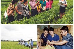 Quy định đơn vị sự nghiệp công lập khuyến nông cấp tỉnh, cấp xã