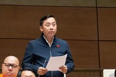 Đề nghị tăng mức phạt, công khai vi phạm bảo vệ môi trường