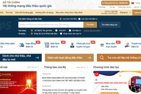 Quy định đăng tải thông tin đấu thầu lựa chọn nhà đầu tư trên Hệ thống mạng đấu thầu quốc gia