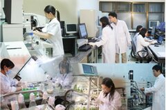 Ban hành Bảng phân loại lĩnh vực khoa học và công nghệ mới