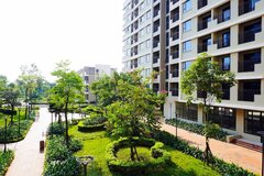 Bán, cho thuê, cho thuê mua nhà ở xã hội không đúng đối tượng quy định bị phạt đến 160 triệu đồng