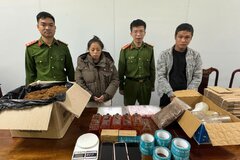 Triệt phá đường dây mua bán trái phép ma túy qua mạng Telegram
