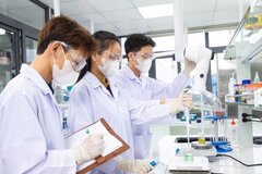 Quy định mã số, tiêu chuẩn chức danh khoa học, công nghệ