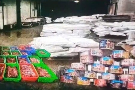 Danh tính 9 bị can mua bán hơn 130 tấn lợn nhiễm bệnh vận chuyển vào Công ty Đồ Hộp Hạ Long