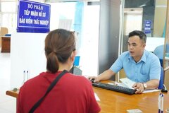 Trường hợp nào được xác định đang đóng bảo hiểm thất nghiệp?