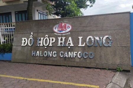 Bắt khẩn cấp Tổng giám đốc Công ty CP Đồ hộp Hạ Long