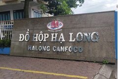 Bắt khẩn cấp Tổng giám đốc Công ty CP Đồ hộp Hạ Long