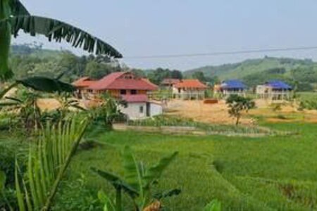 Đất sử dụng sai mục đích, đã kê khai đăng ký, có được chuyển nhượng không?