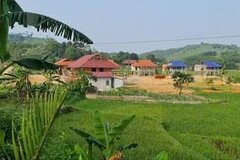 Đất sử dụng sai mục đích, đã kê khai đăng ký, có được chuyển nhượng không?