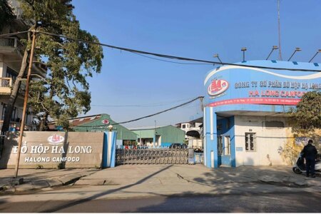 Tổng giám đốc Công ty Đồ hộp Hạ Long bị khởi tố về tội danh gì?