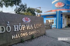 Từ vụ đồ hộp Hạ Long: Bịt 'lỗ hổng' trong sản xuất, kinh doanh thực phẩm bẩn thế nào?