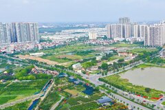 Dự án đầu tư kinh doanh nào phải tổ chức đấu thầu lựa chọn nhà đầu tư?