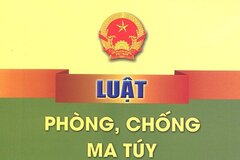 Triển khai thi hành Luật Phòng, chống ma tuý