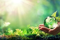 Sửa đổi một số quy định về bảo vệ môi trường