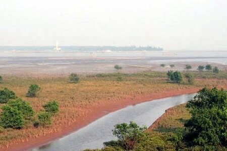 Trồng trọt lâu năm trên đất bãi bồi, khi thu hồi có được bồi thường?