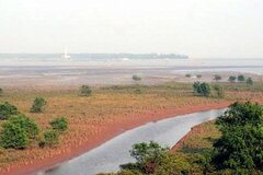 Trồng trọt lâu năm trên đất bãi bồi, khi thu hồi có được bồi thường?