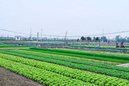 Quy định tính tiền sử dụng đất đối với hộ gia đình, cá nhân khi chuyển từ đất nông nghiệp sang đất ở năm 2026